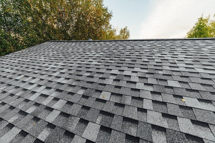 roof1.jpg