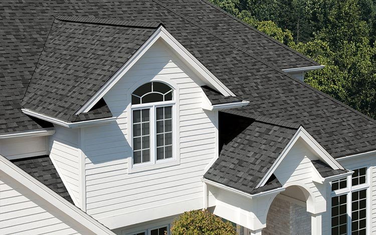 roof5.jpg
